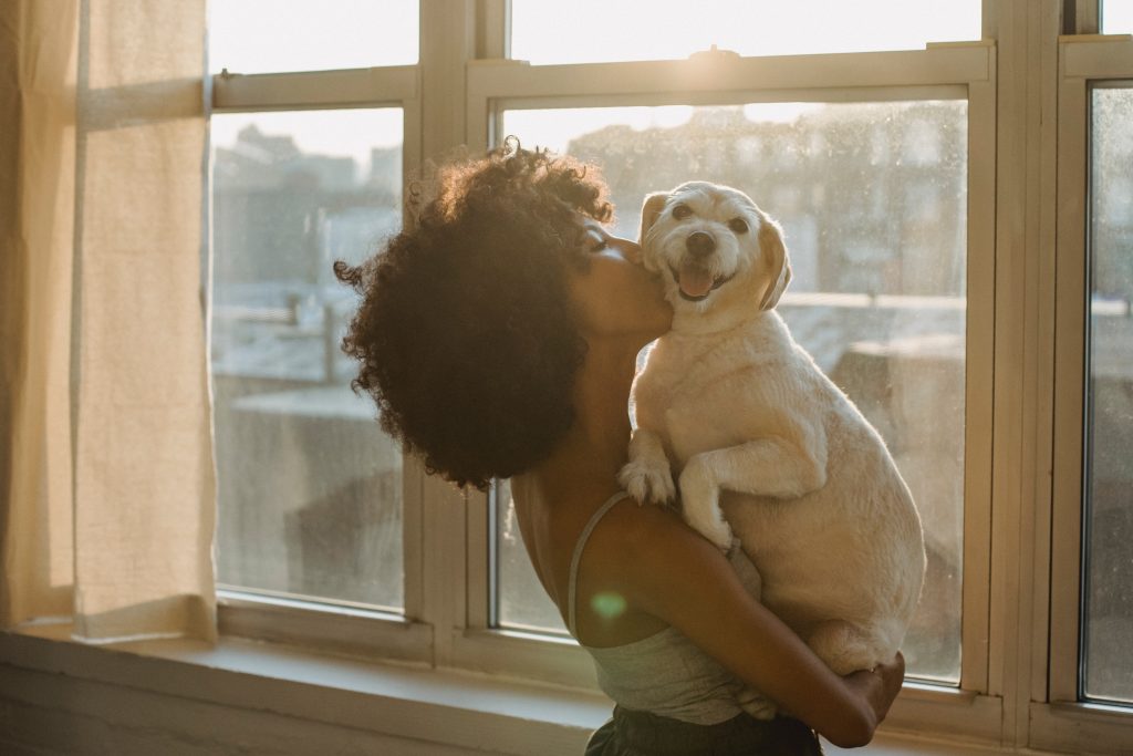 Your Elderly Dog Has Incontinence - Now What? 1 Your Elderly Dog Has Incontinence